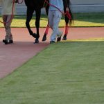 万馬券を夢見るあなたにおすすめ！暴露王
